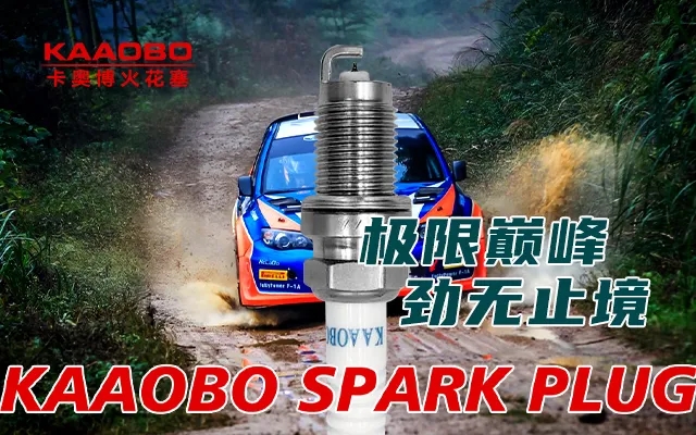 01.webp.jpg