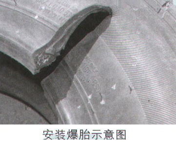 06.jpg